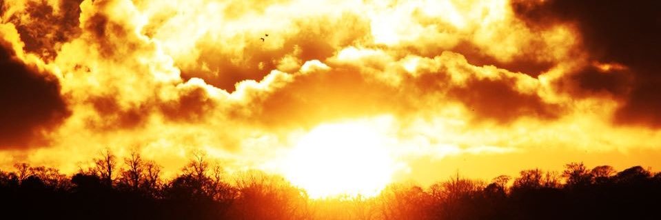 steve149c's profile banner image
