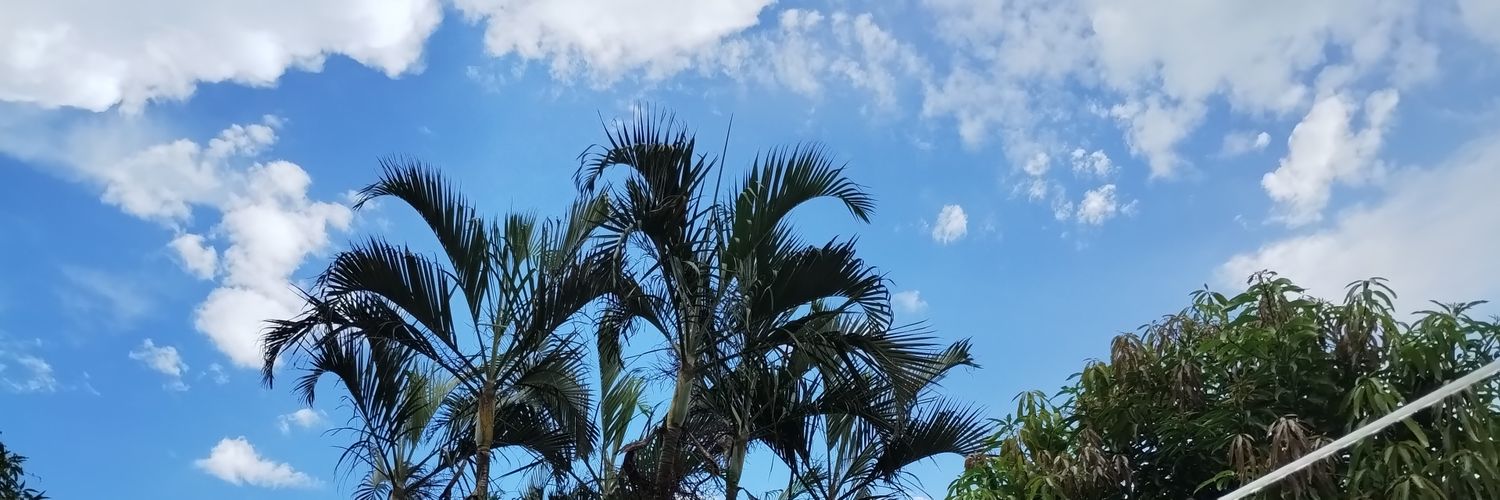 Flacaybaja's profile banner image
