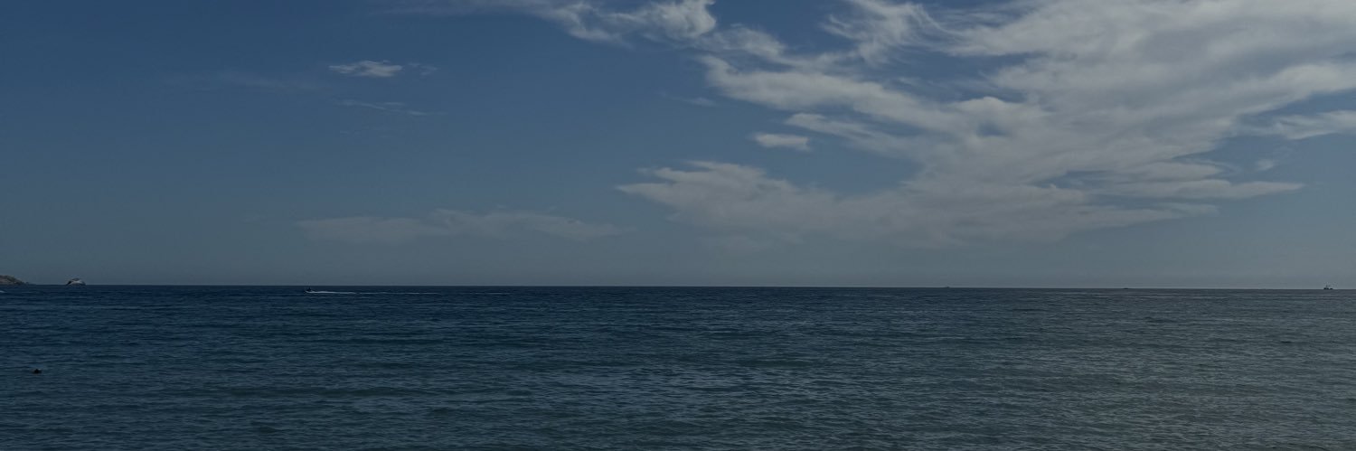 castruitafer's profile banner image