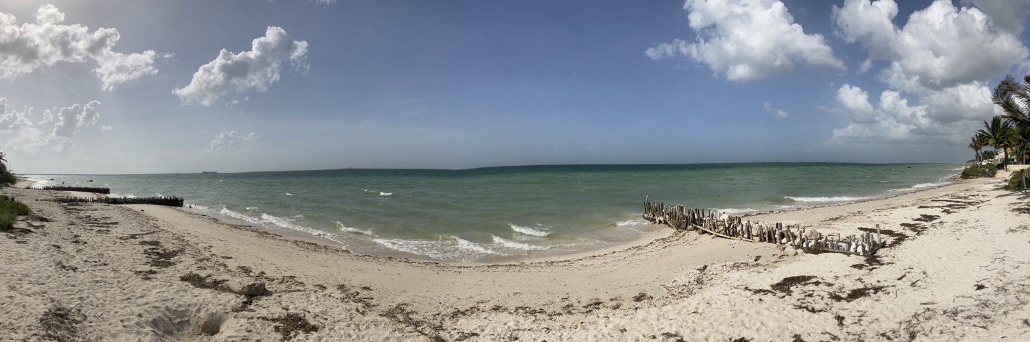 ¯̿ ̿|̿ ̿¯hibault banner