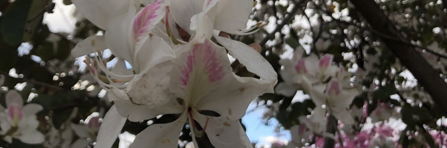 valeGarita's profile banner image