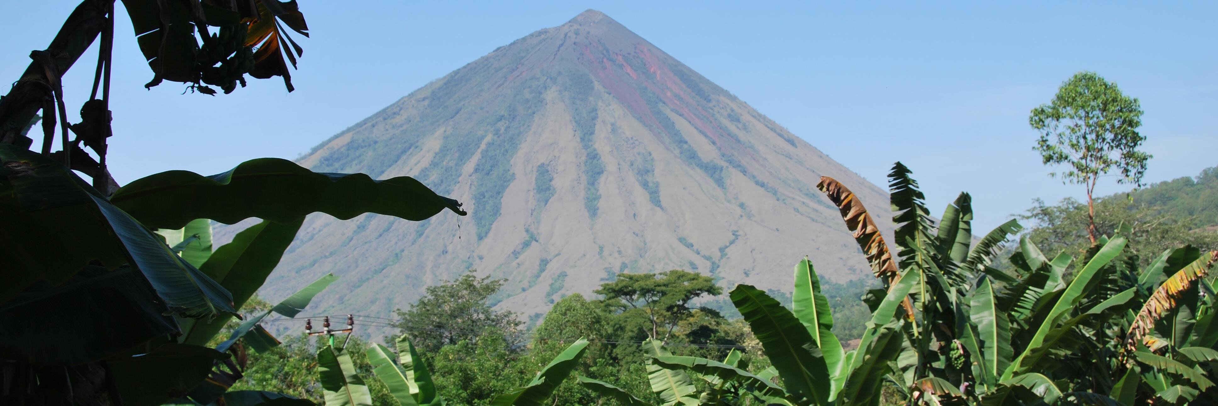 Natalie Paris banner