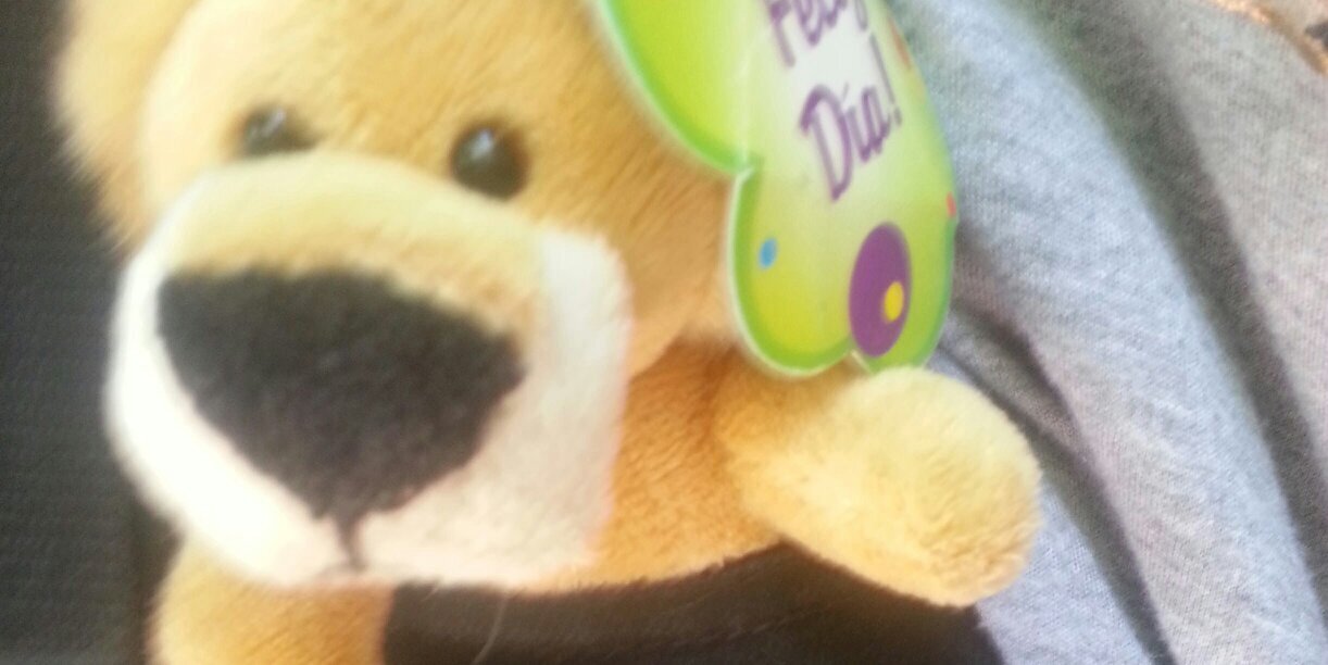 fLuff2643's profile banner image