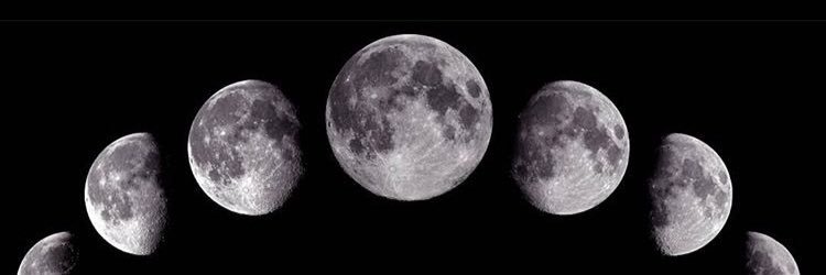 Lacca5's profile banner image