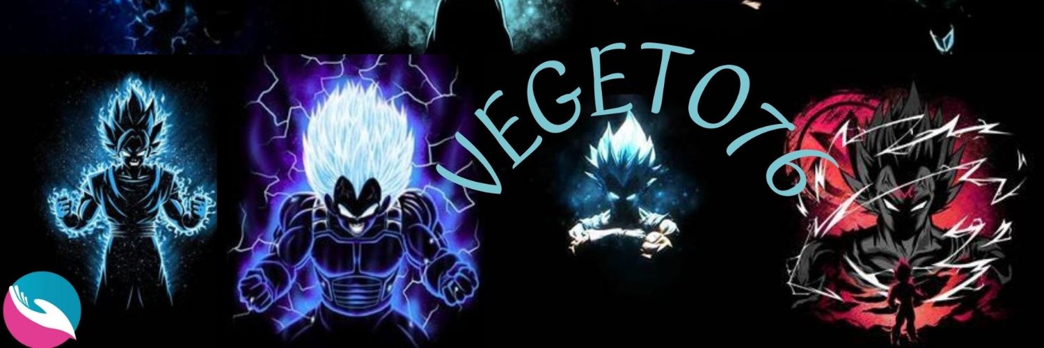 vegeto76 banner