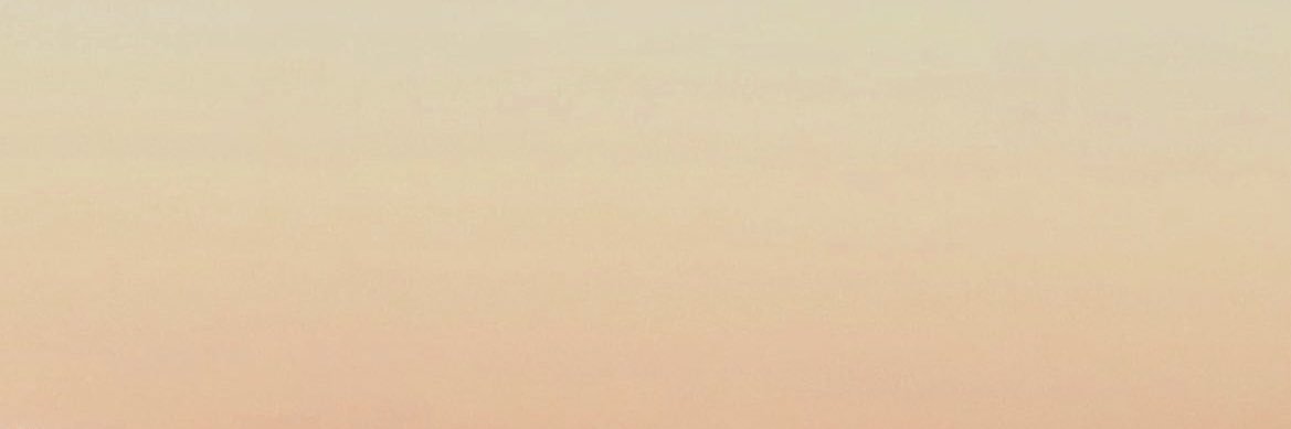 yuer693's profile banner image