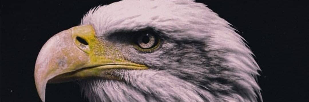 RECEPKAANYildi1's profile banner image