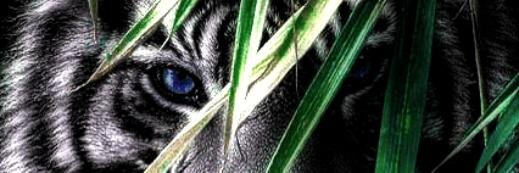 sundakids_'s profile banner image