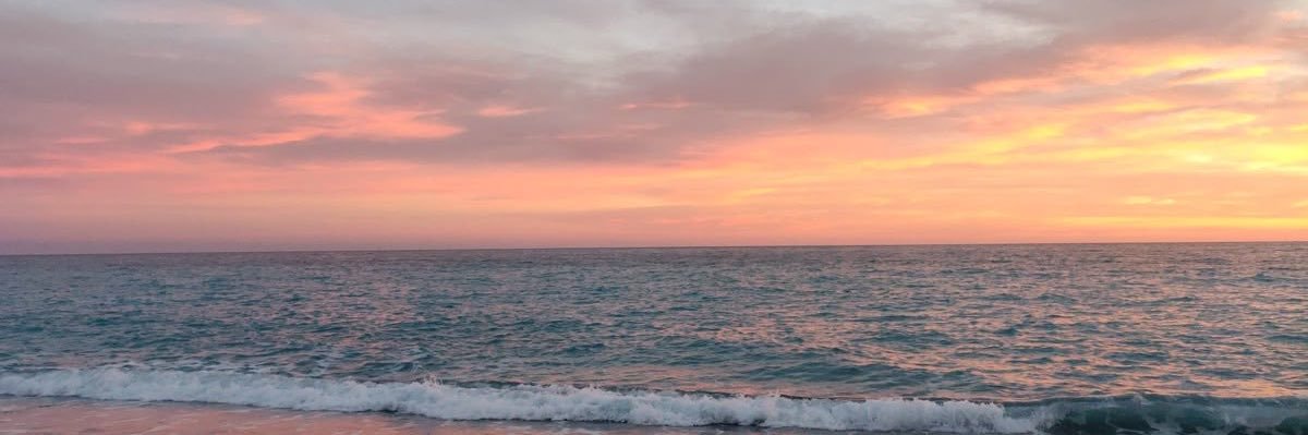 vntecult's profile banner image