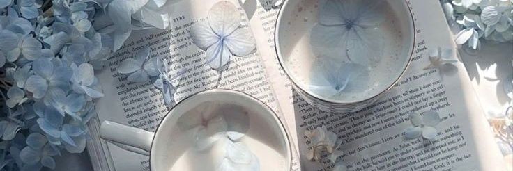 𝐁. banner