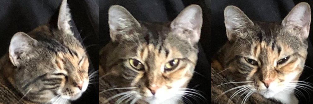 Aprosauce's profile banner image