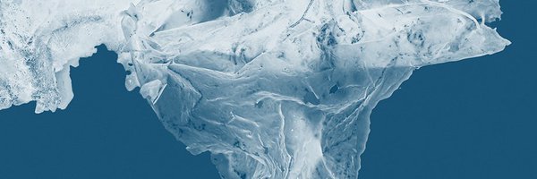Cyanotypes_ Profile Banner