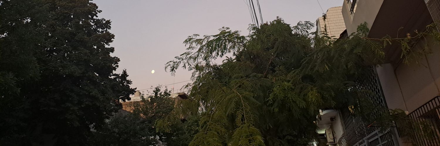 ddipsihoney's profile banner image