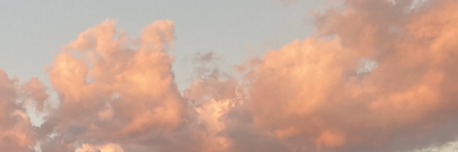 geese1231's profile banner image