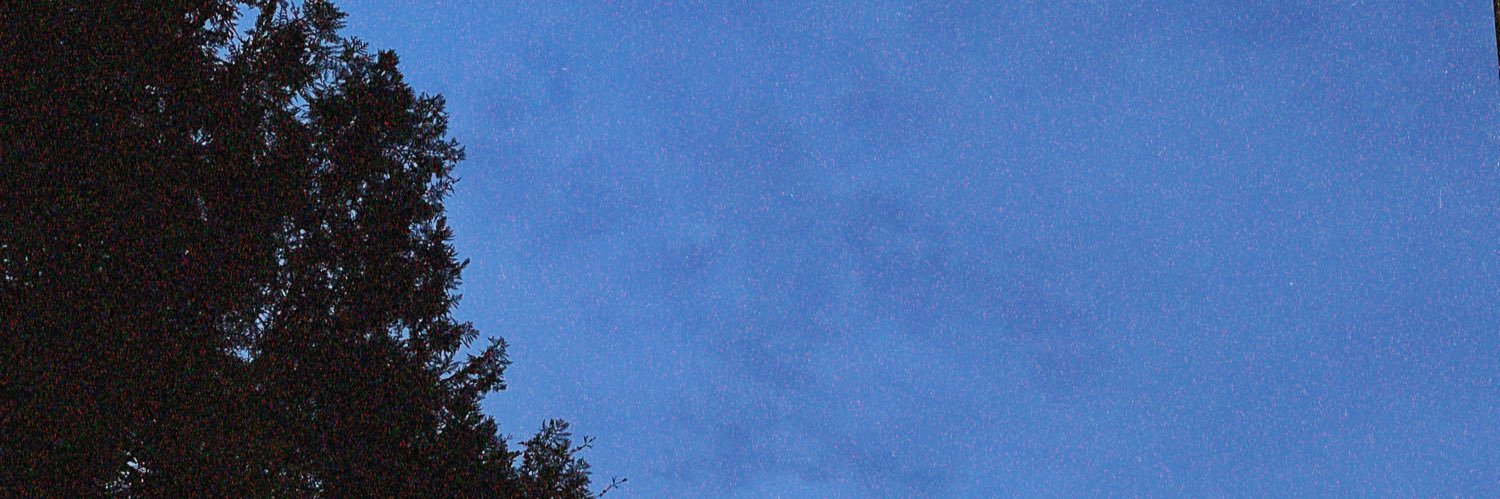 Logan Dev banner