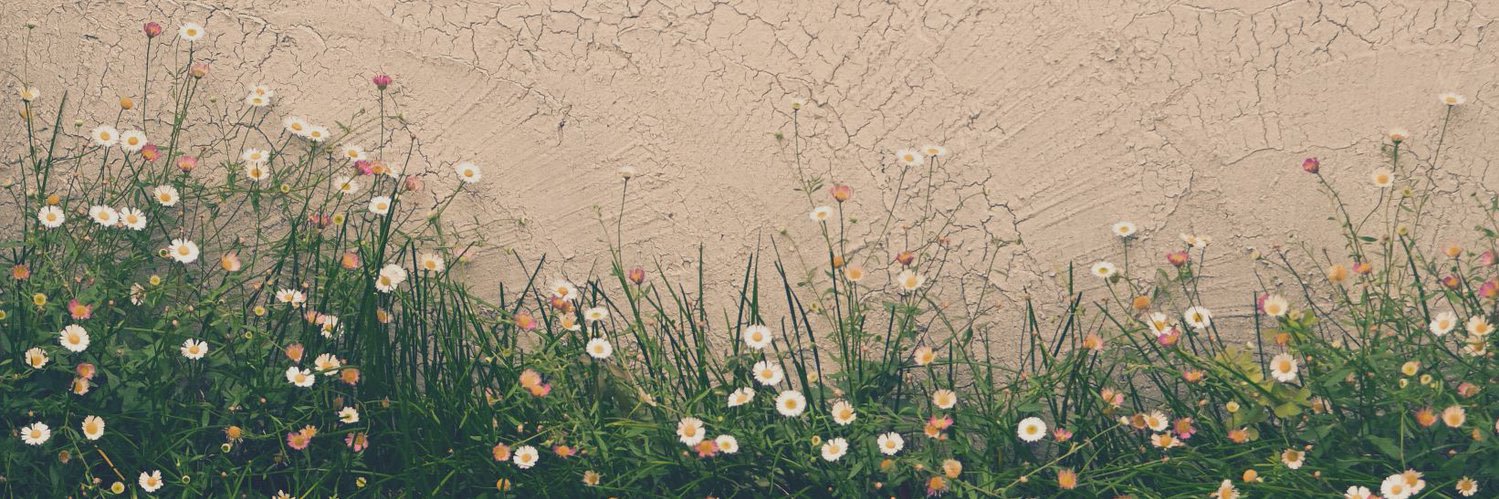 Pennpenn__'s profile banner image