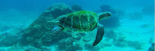 ScubaDam Profile Banner