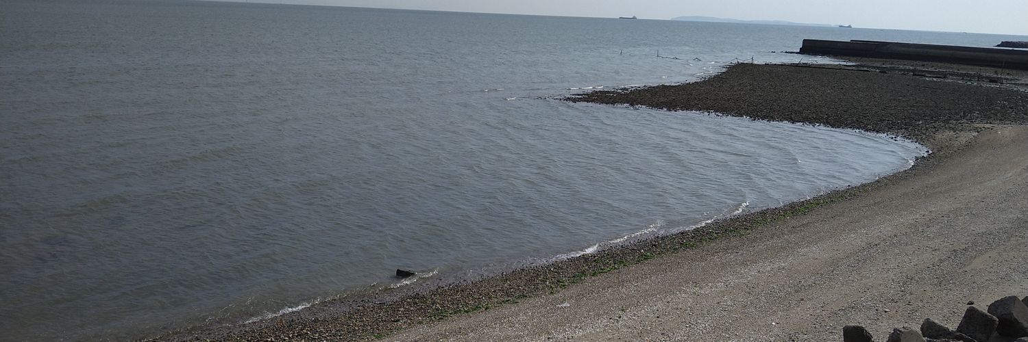 Daisuke(からやぶ) banner