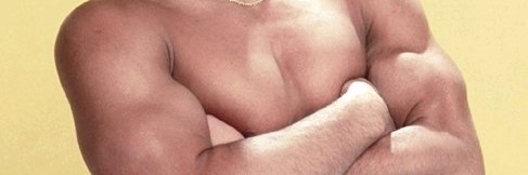 wolfanaut's profile banner image