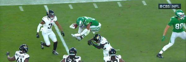 TheBrowniclesFF Profile Banner