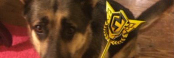 ForziFN Profile Banner