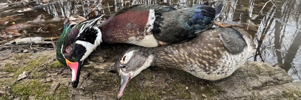 tyaustin Profile Banner