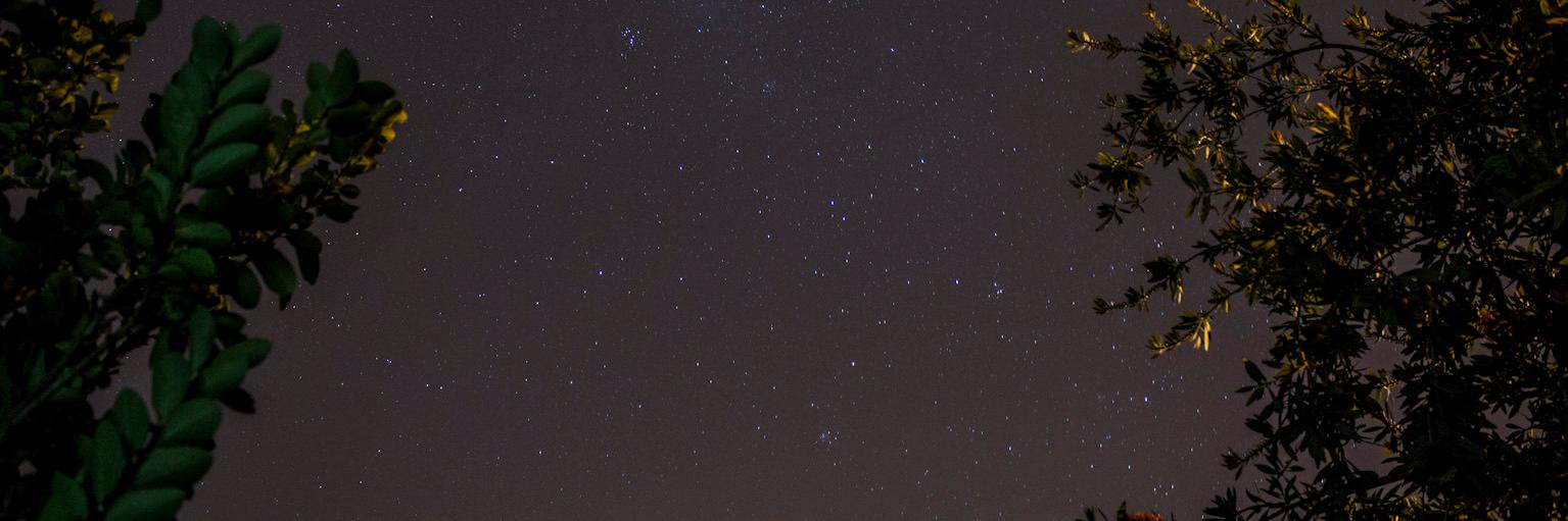 Fernando Ressia banner