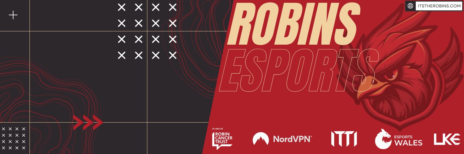 Robins Esports banner
