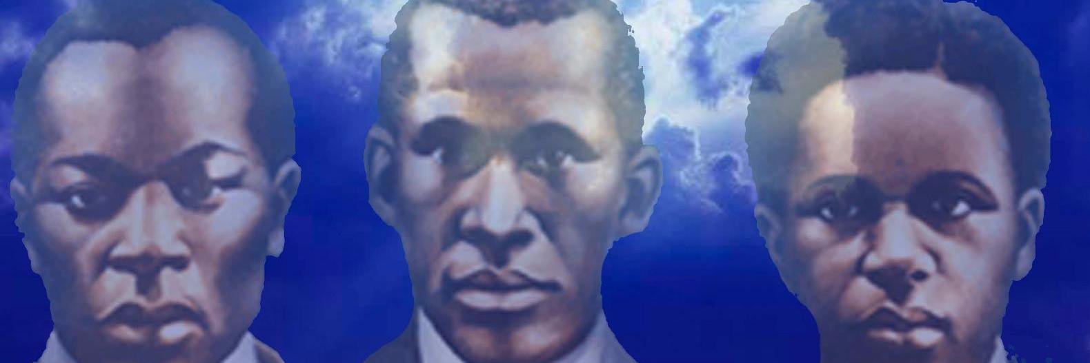 Trenton Sigmas banner