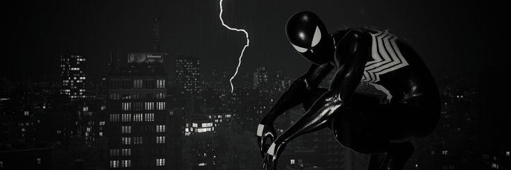 V's banner