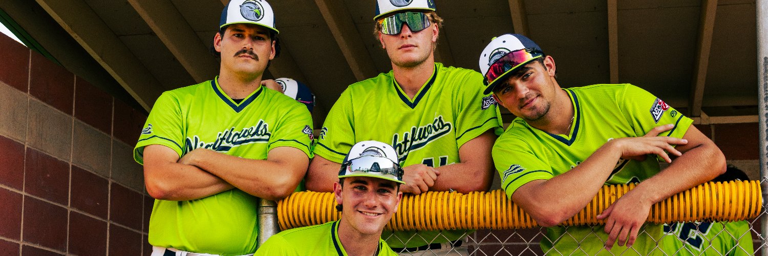 Nighthawks Stats and Analytics banner