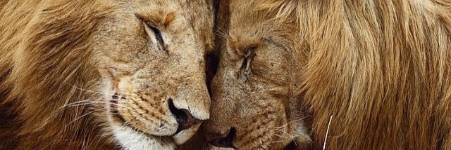 drbaharbudan's profile banner image