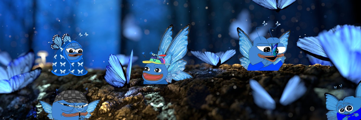 Morpho Intern banner