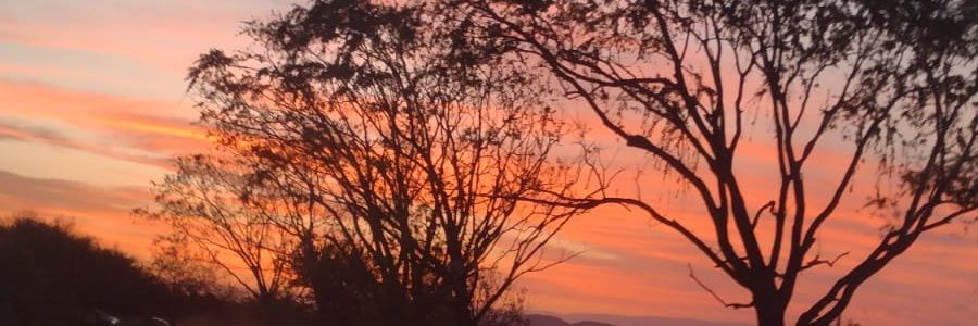 elisa24671's profile banner image