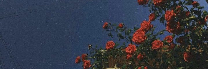 maprees's profile banner image