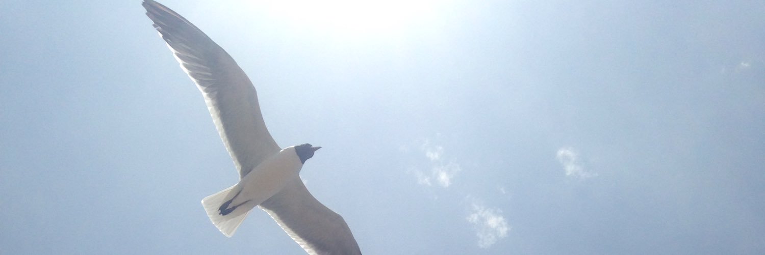 Unrulyvag's profile banner image