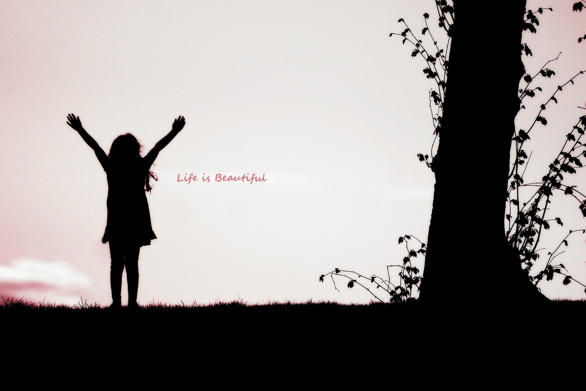 HelenMsqra's profile banner image