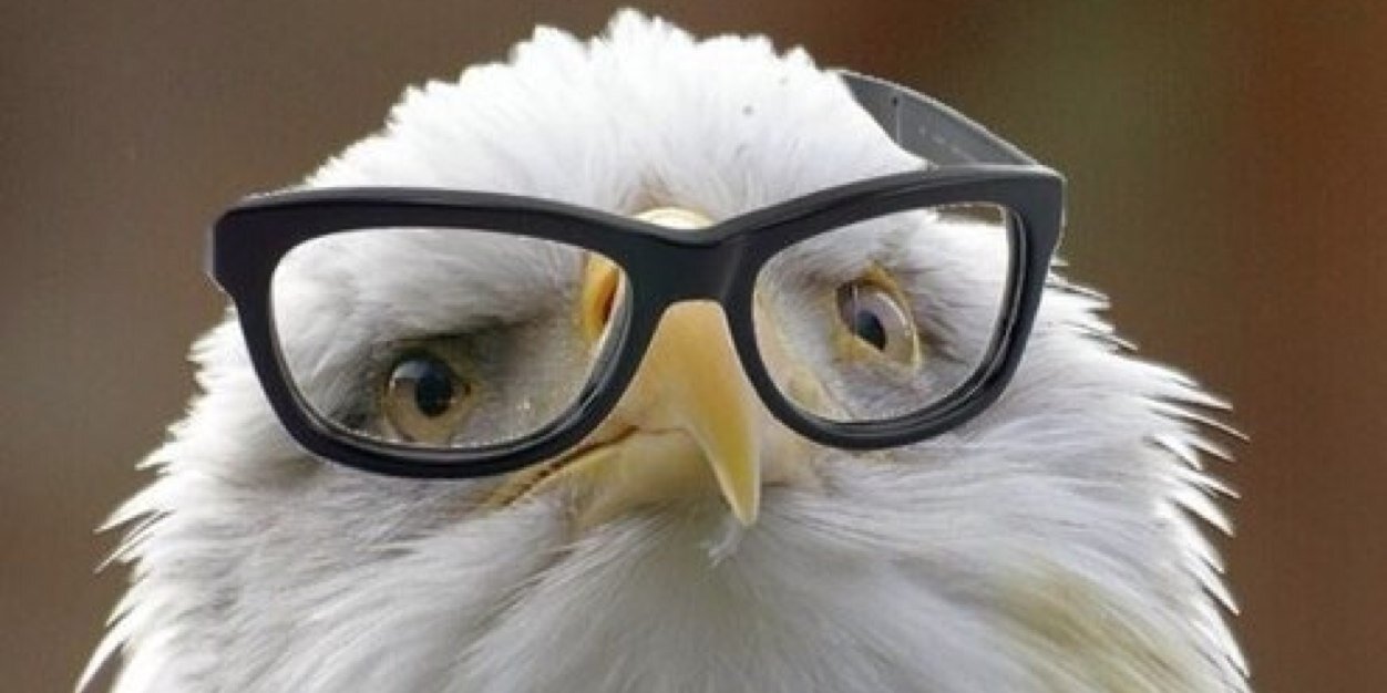 Stöpsel 🏍🧇 @mp3tobi@troet.cafe banner