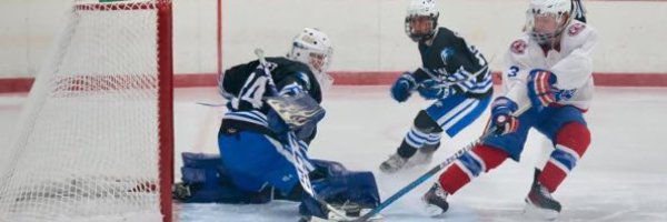 moose0773 Profile Banner