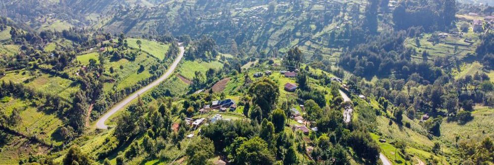 SupA Brighton🇺🇬 banner