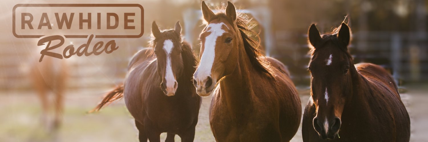 RawhideRodeo's profile banner image