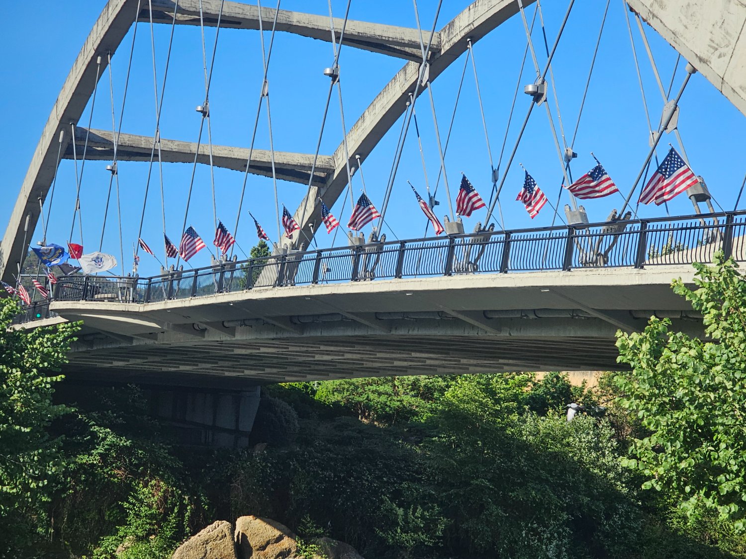 OregonMom 🇺🇸✝️🇺🇸 banner