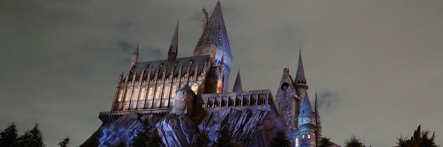 nasilver🐥🐻🐱🌏🦊🍅🍡(nao) banner