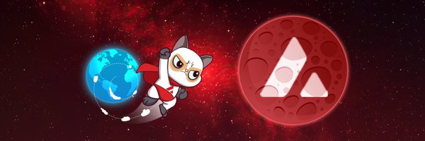 Supermeow_Avax Profile Banner