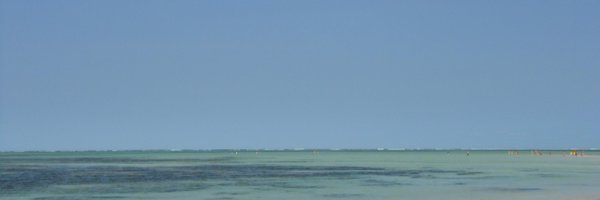 francescogarib Profile Banner