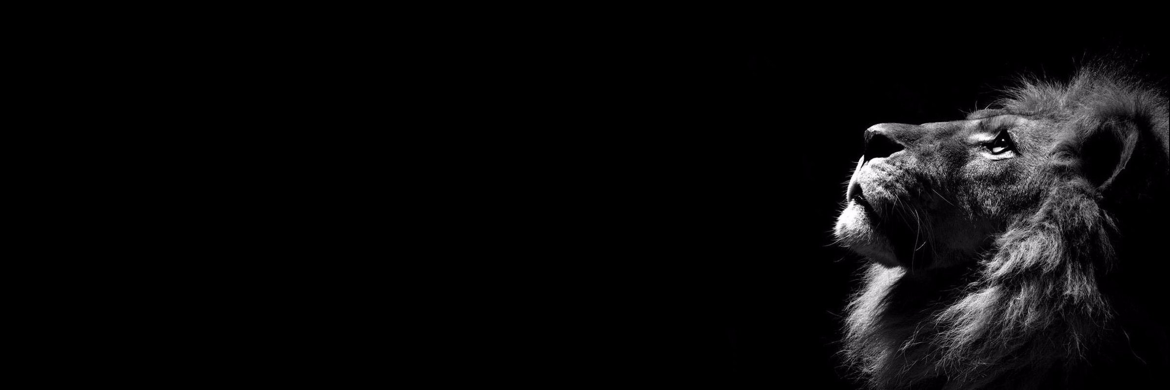 MGTWOSIX's profile banner image