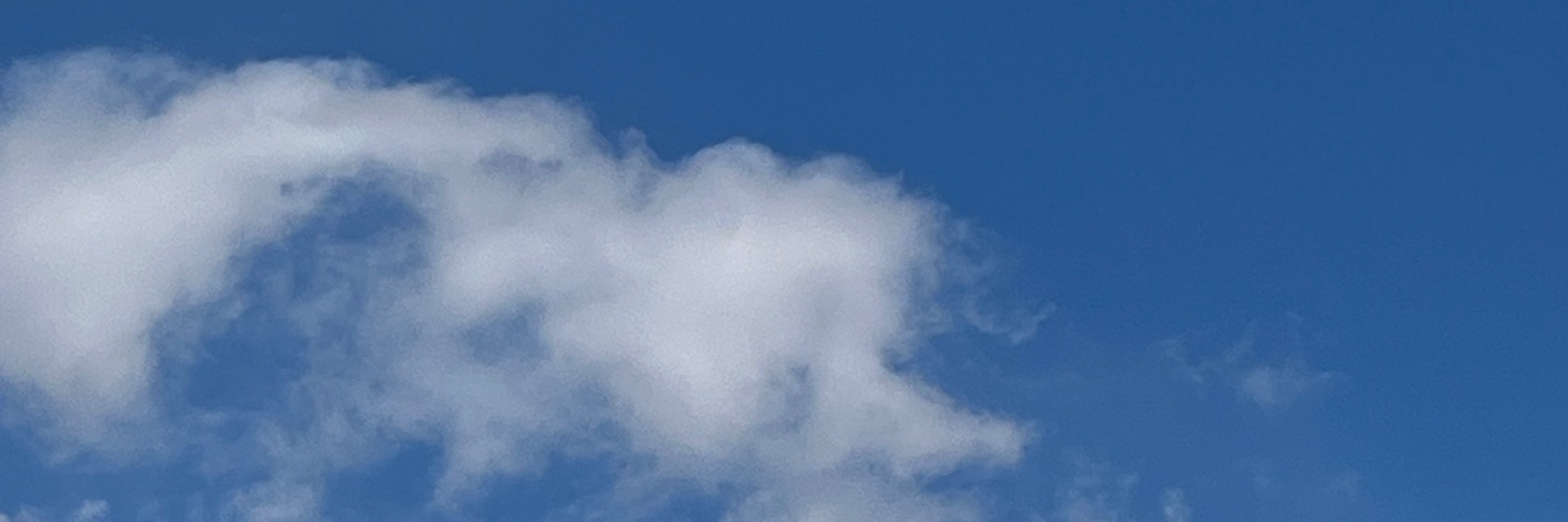 springgiirll's profile banner image