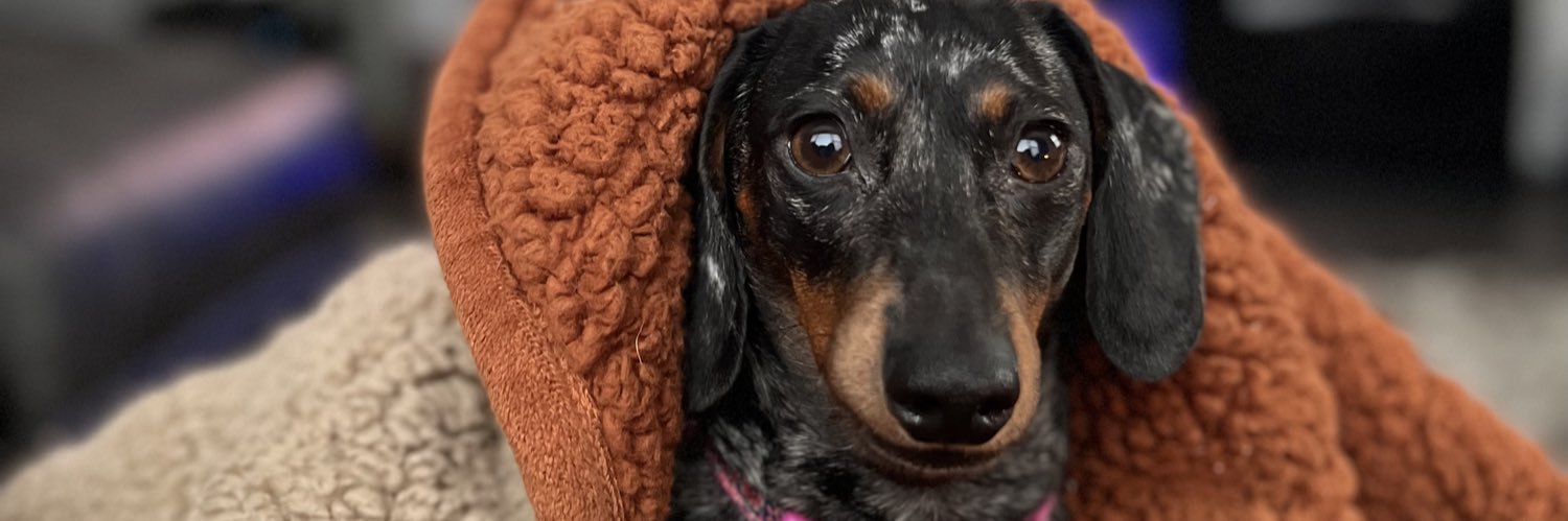 ambermainord2's profile banner image