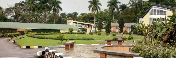 namagungaogs Profile Banner