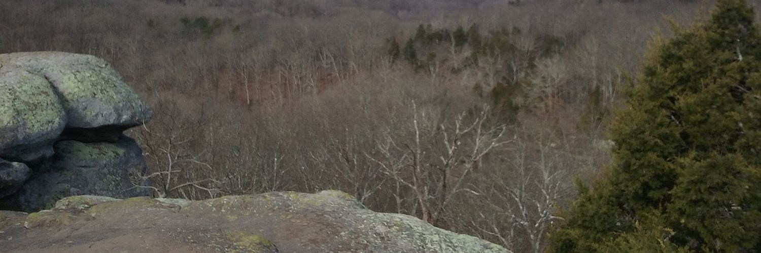 hellbird66's profile banner image